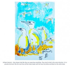10 Cape Gannets