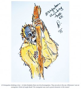 13 Orangutan climbing a tree