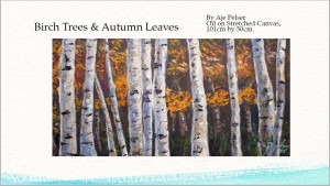 Birch Trees and Autumn Leaves